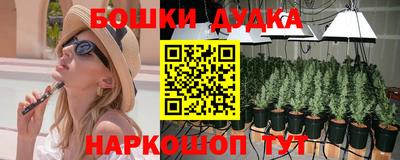 a pvp Рыбинск