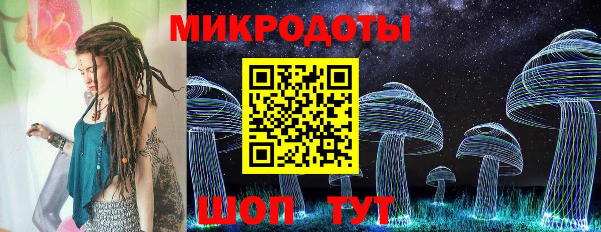 Галлюциногенные грибы Psilocybe Серпухов